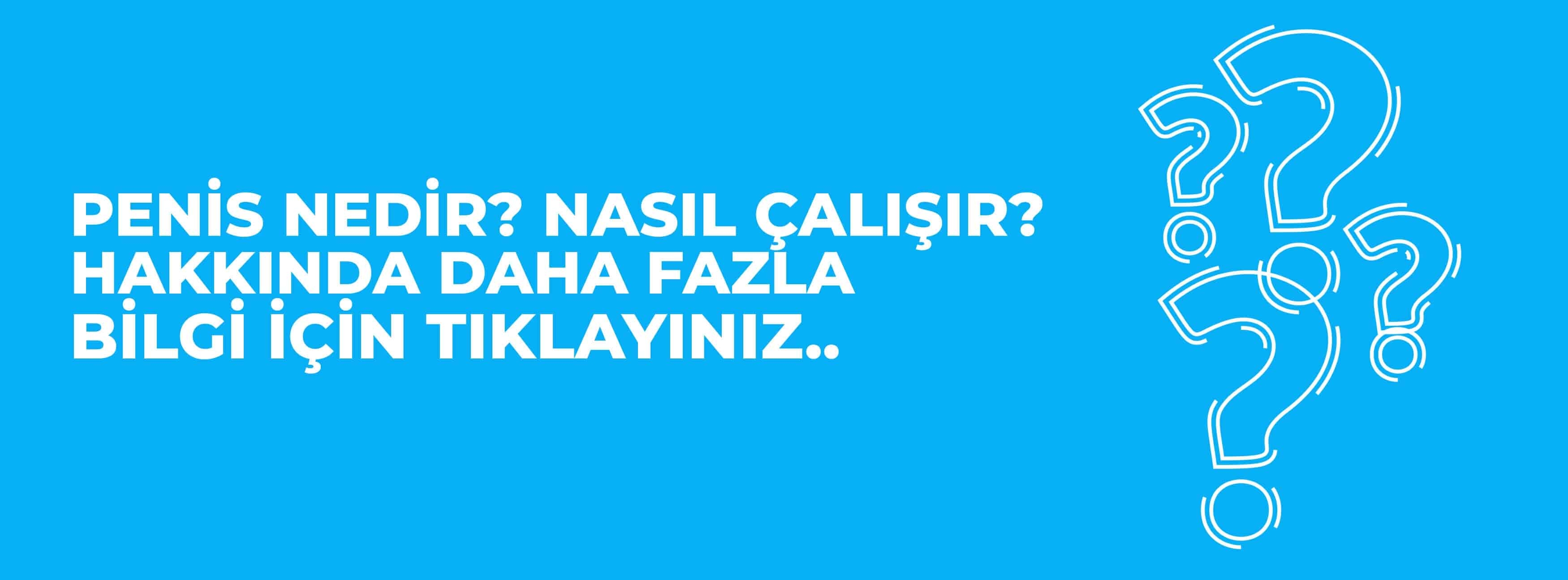 penis-nedir-nasil-calisir